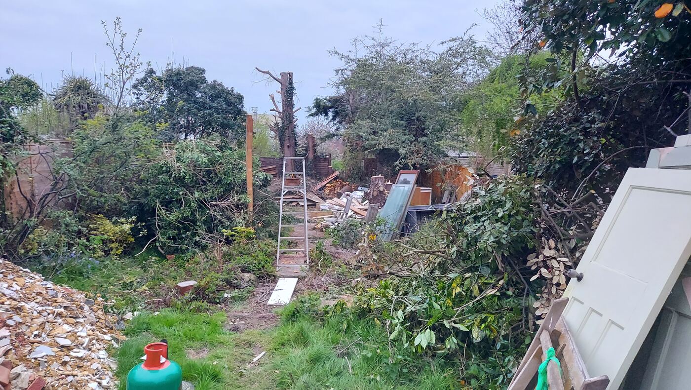 Overgrown garden before work started