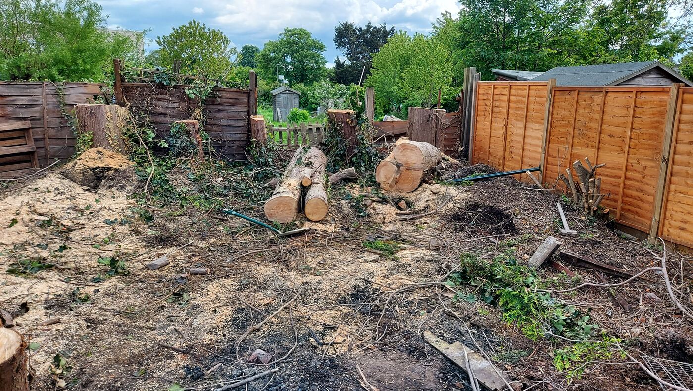 Garden cleared of trees